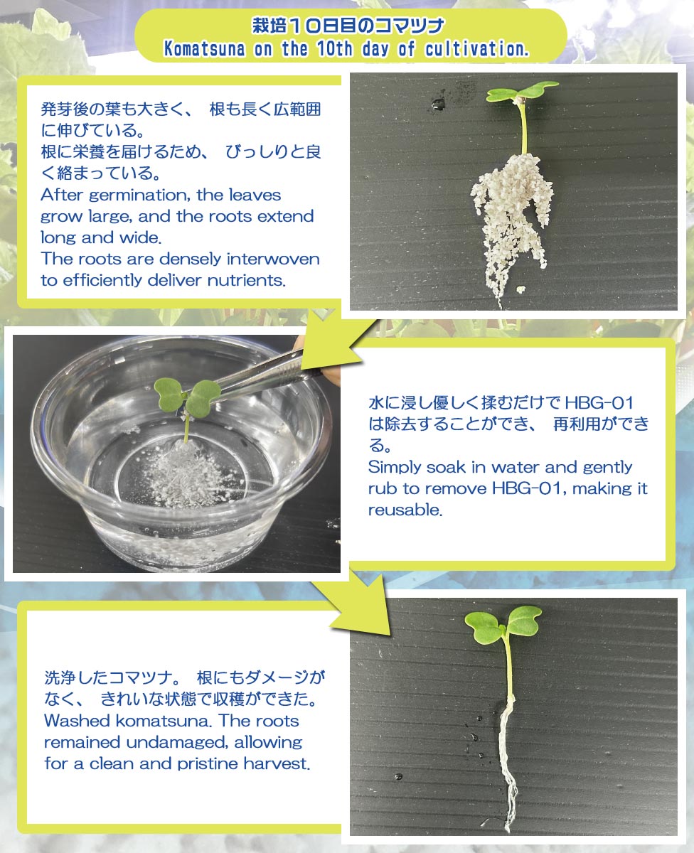 植物のスムーズな輸出入を実現。- PUREGROW - 無機物培土　ピュアグロウ