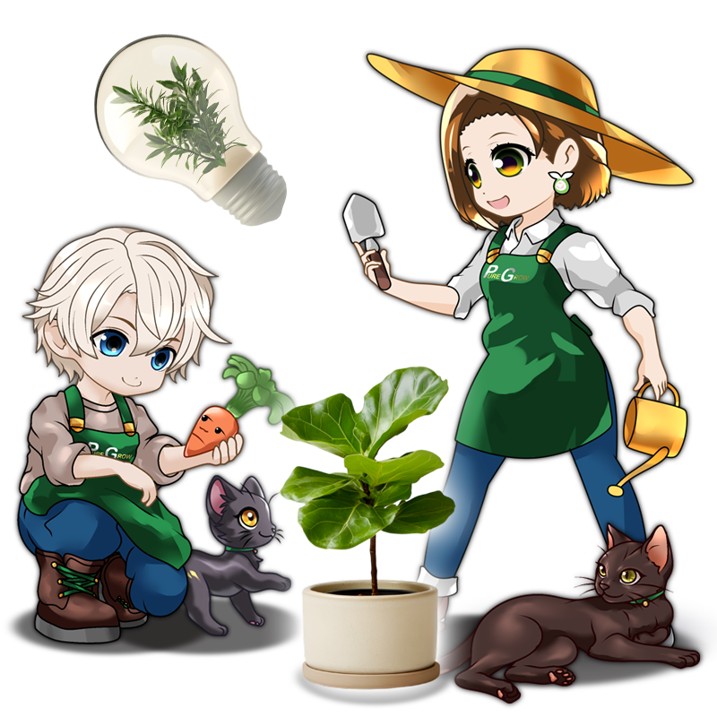 Header Image