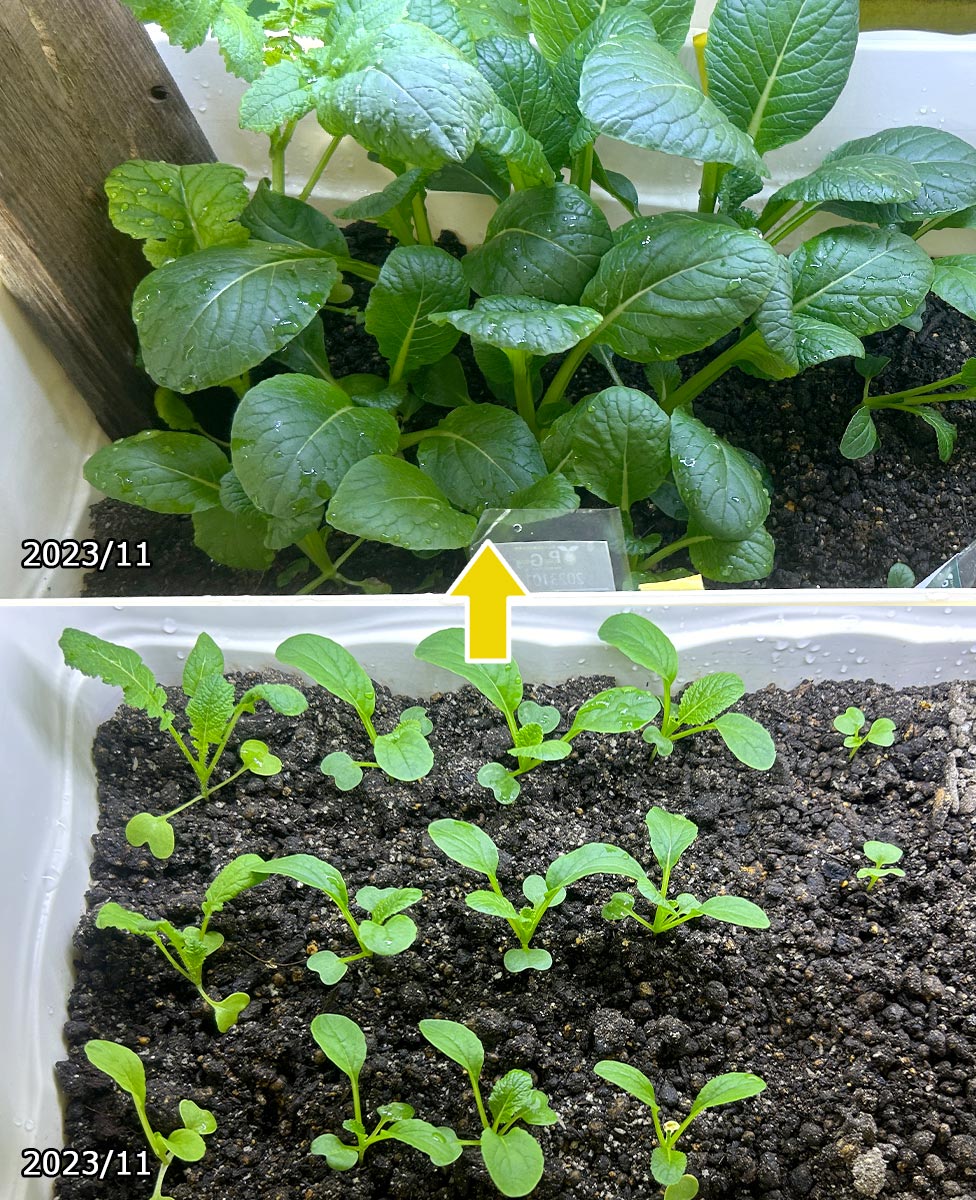 植物のスムーズな輸出入を実現。- PUREGROW - 無機物培土　ピュアグロウ