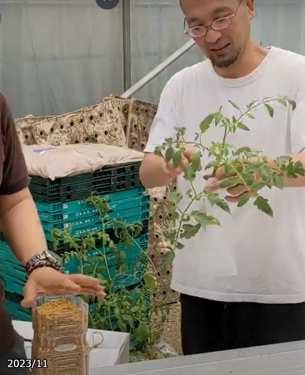植物のスムーズな輸出入を実現。- PUREGROW - 無機物培土　ピュアグロウ