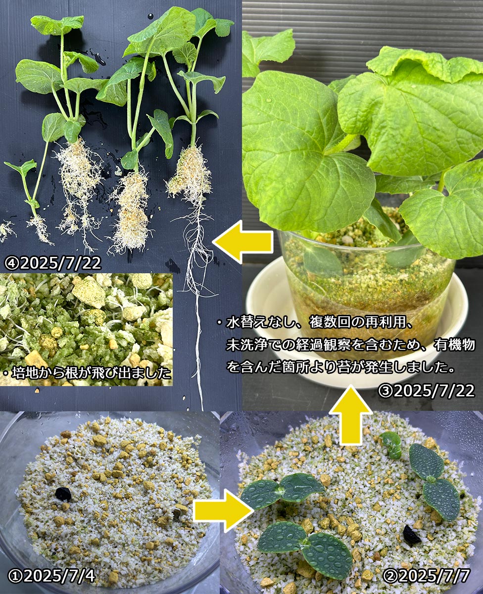 ピュアグロウ：検疫時の時間と手間、廃棄やコストの削減